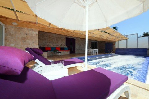 Gallery 2