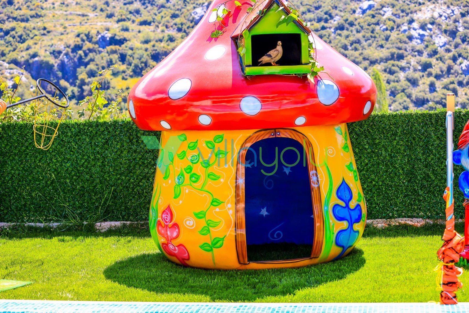 Mobile Gallery 23