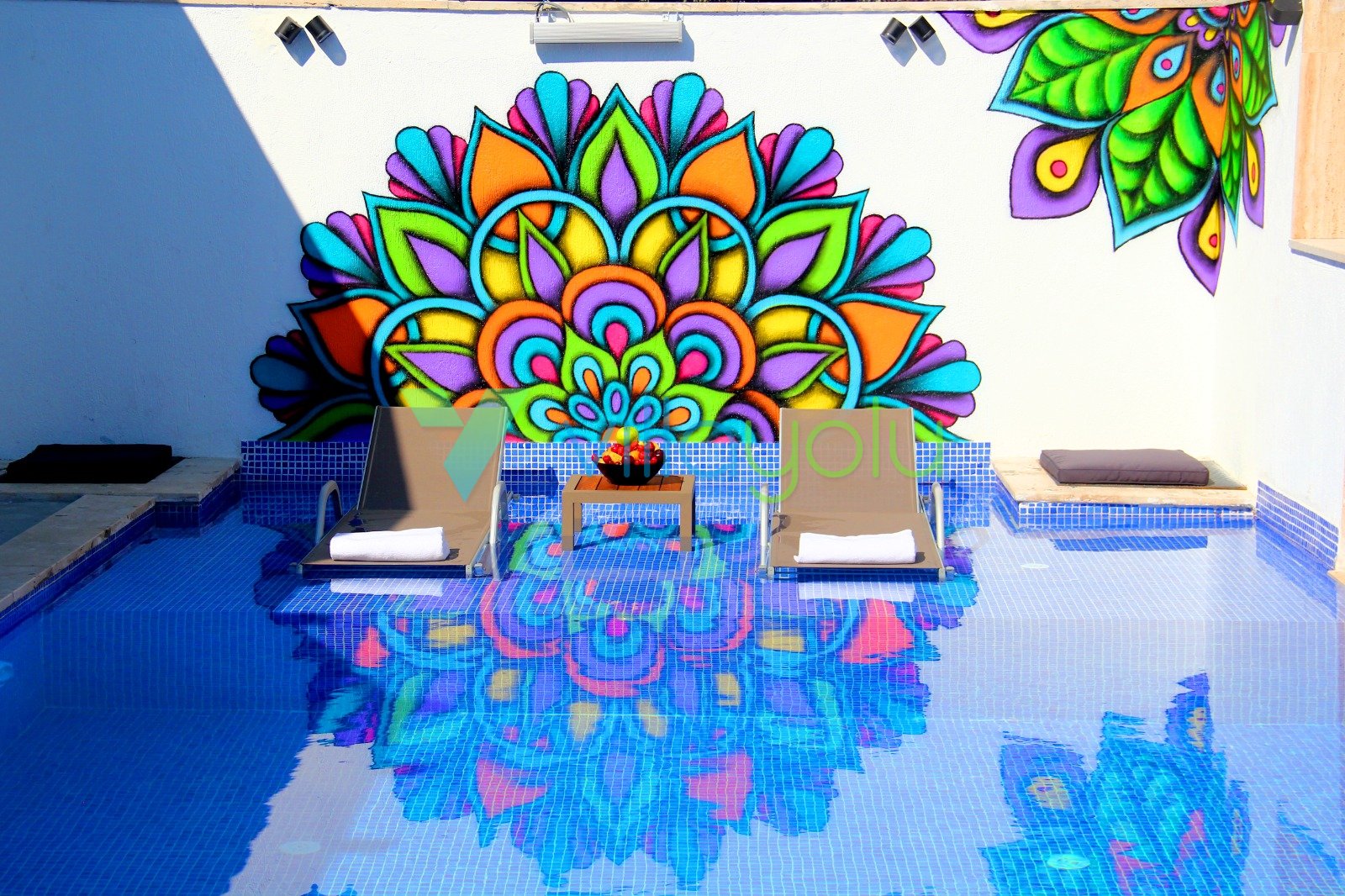Mobile Gallery 7