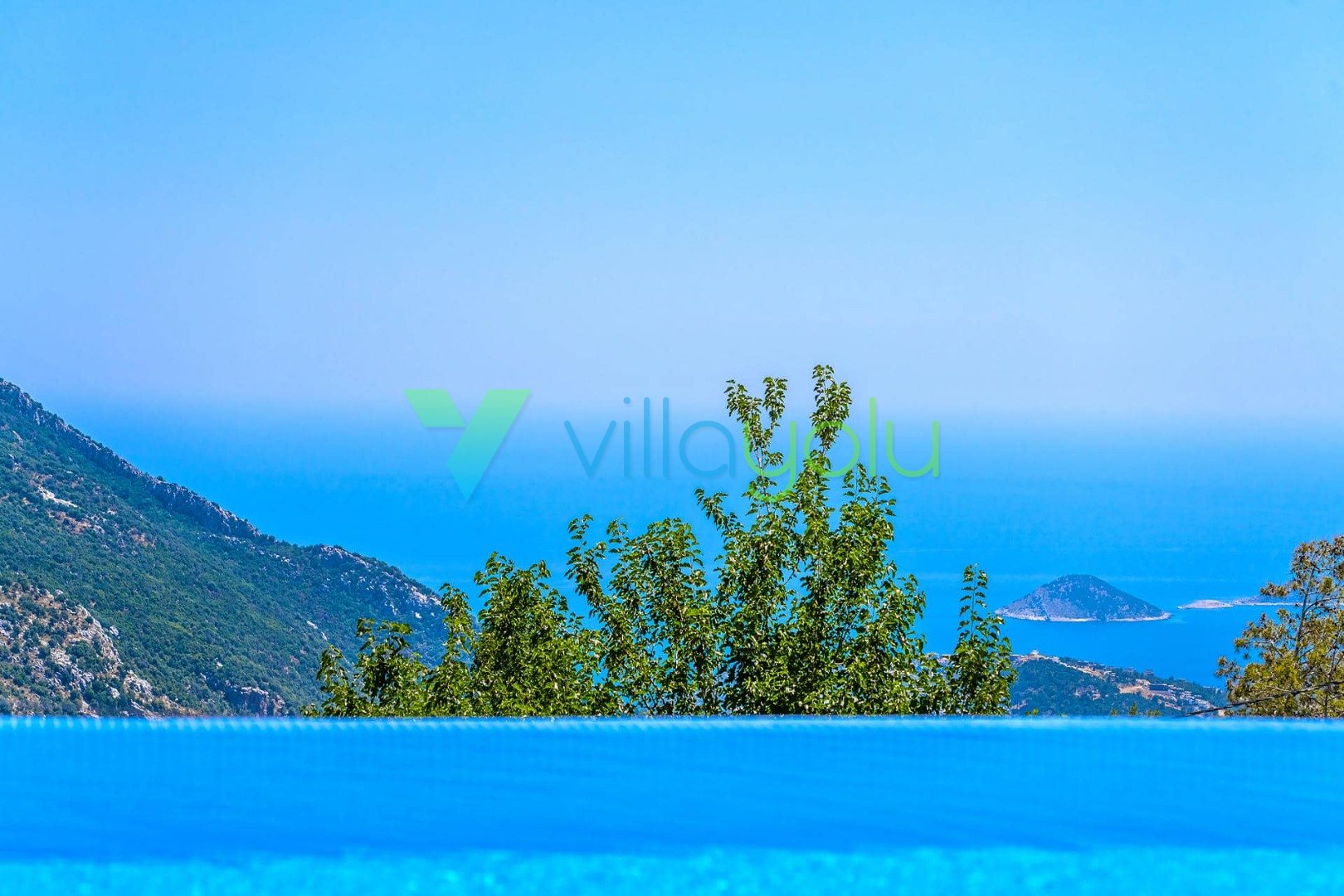 Gallery 1