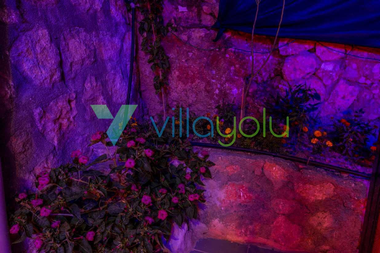 Mobile Gallery 70